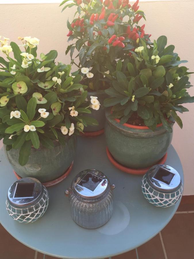 B&B Casa Louisa, Torre Del Mar- Valleniza Velez Malaga Eksteriør bilde
